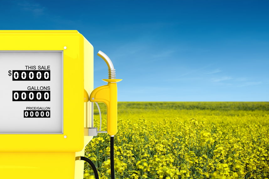 Rapeseed Biofuel Concept